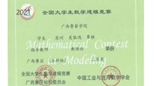 全国大学生数学建模竞赛荣获二等奖